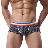 Brand Male Underwear Men New Arrivals Men's Sexy Underpants Low-waist High Fork Pure Cotton Sexy For Man Plus Size