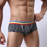 Brand Male Underwear Men New Arrivals Men's Sexy Underpants Low-waist High Fork Pure Cotton Sexy For Man Plus Size