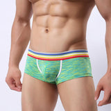 Brand Male Underwear Men New Arrivals Men's Sexy Underpants Low-waist High Fork Pure Cotton Sexy For Man Plus Size