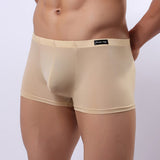 Men Underwear Sexy Boxer Briefs Breathable Underpants