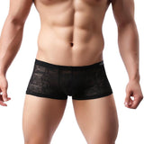 Men Underwear Lace Sexy Translucent Boxer Briefs Breathable Underpants BGL