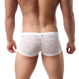Men Underwear Lace Sexy Translucent Boxer Briefs Breathable Underpants BGL