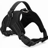 Dog  Harness Leash Set Heavy Duty Denim Dog Leash Collar