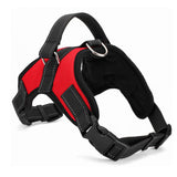 Dog  Harness Leash Set Heavy Duty Denim Dog Leash Collar