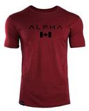 Fitness Bodybuilding Crossfit Slim Cotton Shirts Men Short Sleeve